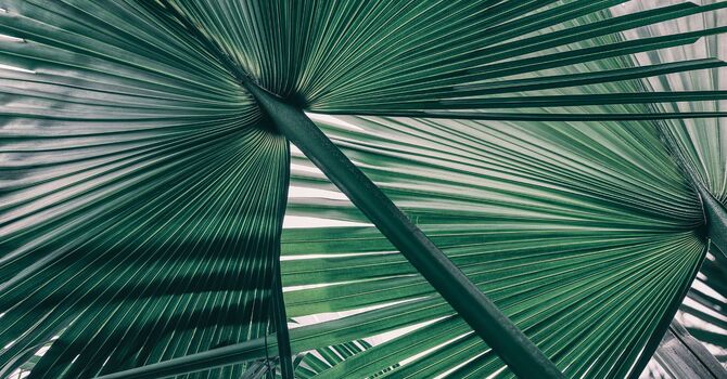 Hormone Replacement Therapy