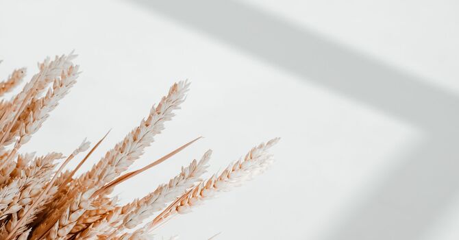 IV Hydration & Injections